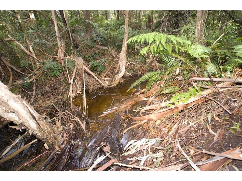 Lot 1 Anne Crescent, Warburton VIC 3799