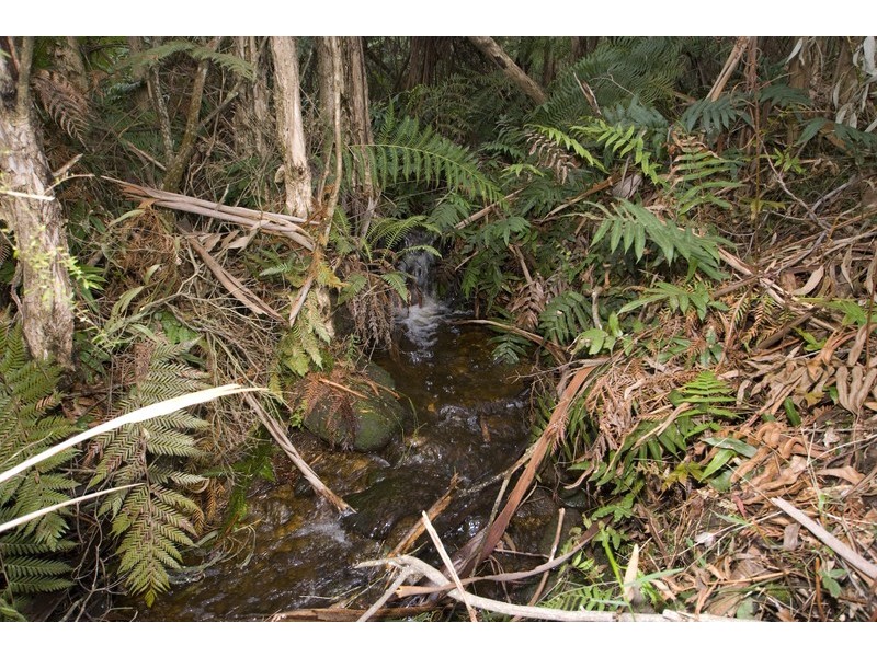 Lot 1 Anne Crescent, Warburton VIC 3799