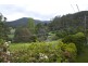 Warburton VIC 3799