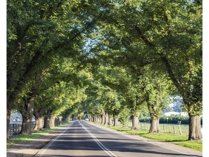 Lot 2 Leila Court, Bacchus Marsh VIC 3340