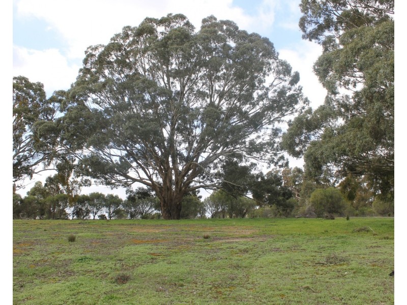 560 Reids Road, Rowsley VIC 3340