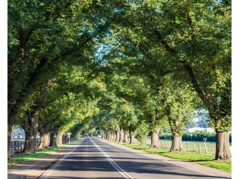 Lot 8 Leila Court, Bacchus Marsh VIC 3340