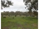 560 Reids Road, Rowsley VIC 3340