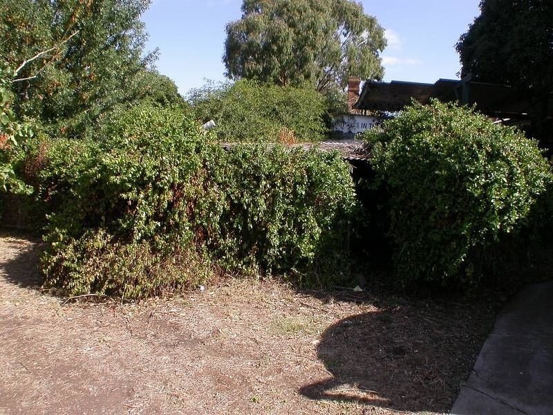 13 Lerderderg Street, Bacchus Marsh VIC 3340