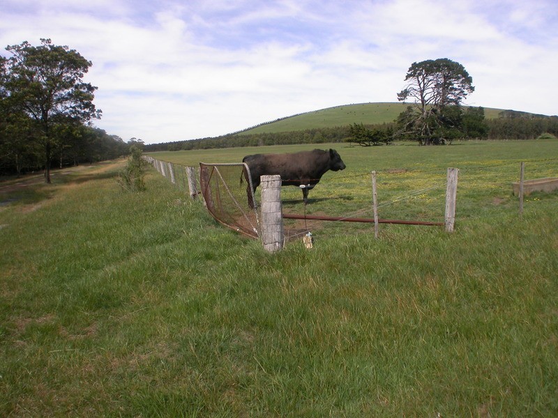 CA 21 Blakeville Road, Ballan VIC 3342