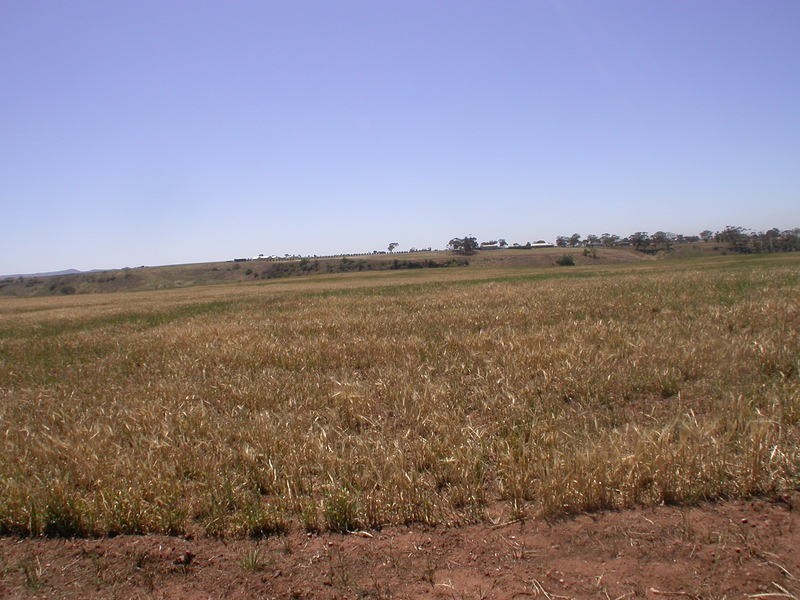 Lot / 97 Thomas Drive, Bacchus Marsh VIC 3340