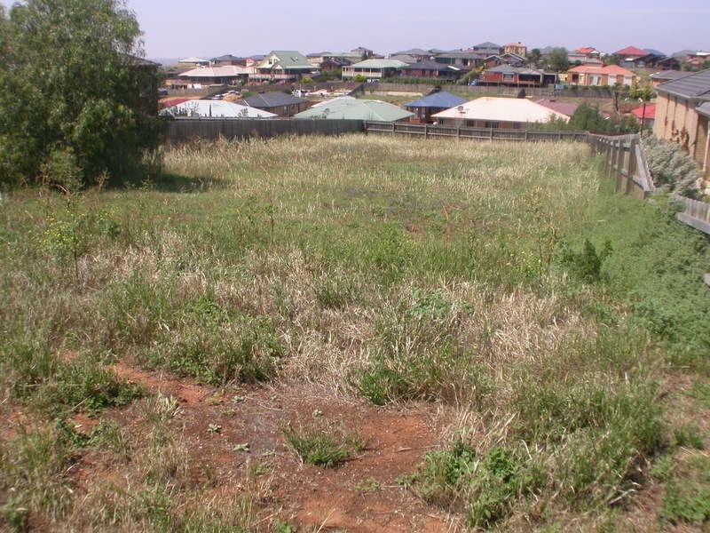 83 Wittick Street, Bacchus Marsh VIC 3340