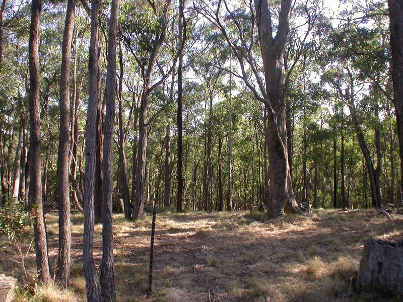 Lot 140 Peppermint Court, Dales Creek VIC 3341