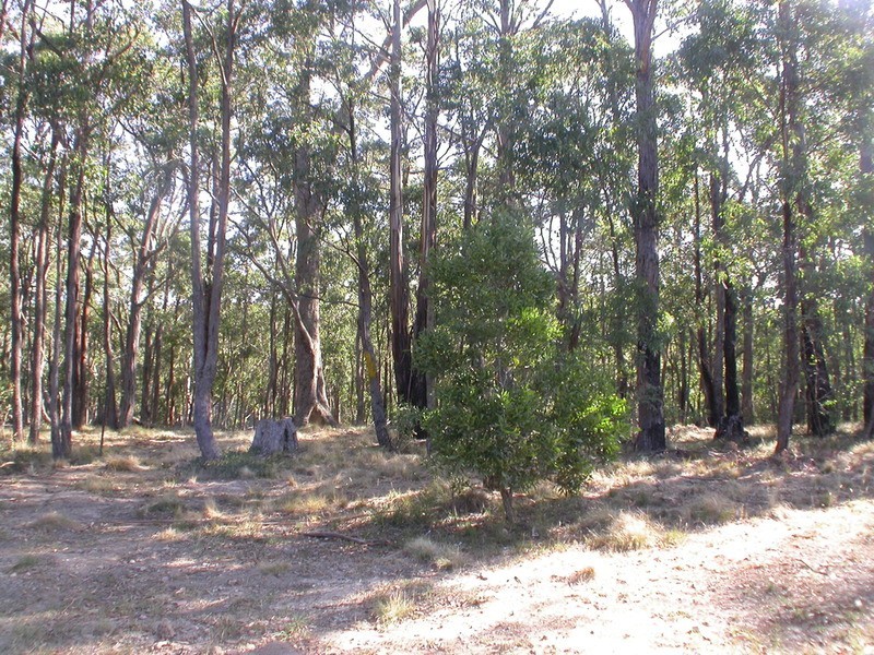 Lot 140 Peppermint Court, Dales Creek VIC 3341