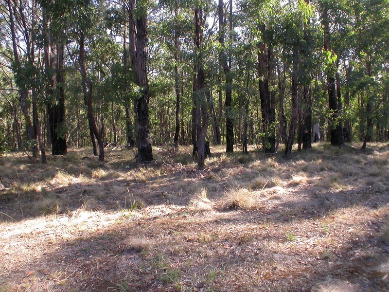 Lot 140 Peppermint Court, Dales Creek VIC 3341