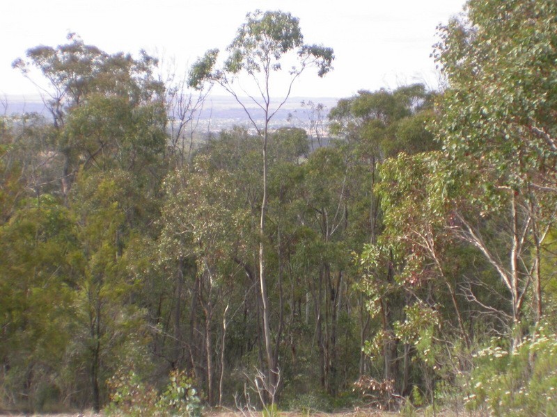 453 Camerons Road, Bacchus Marsh VIC 3340