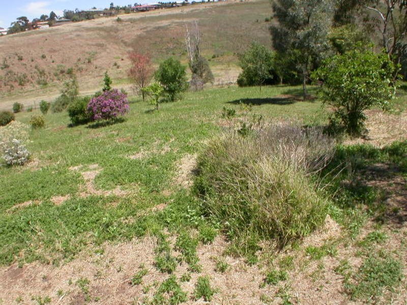 1 Pamela Court, Bacchus Marsh VIC 3340