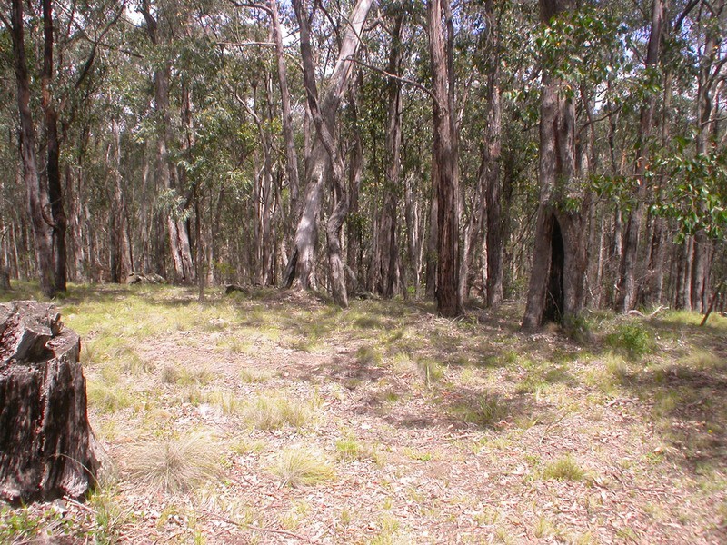 Lot 139 Peppermint Court, Dales Creek VIC 3341