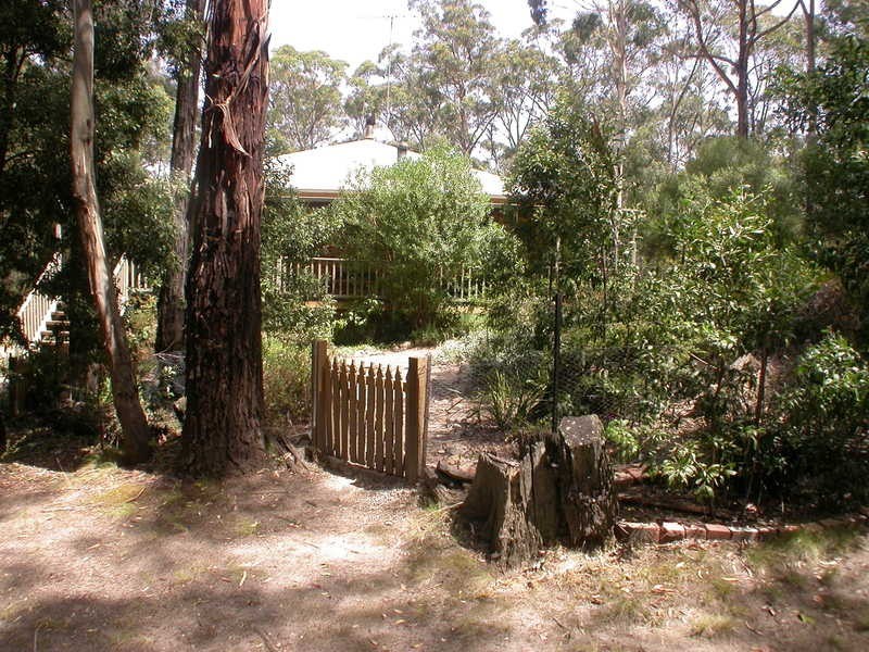 19 Peppermint Court, Dales Creek VIC 3341