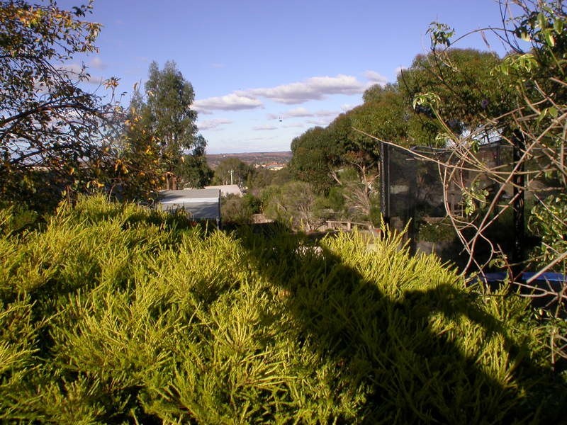 31 Riversdale Crescent, Bacchus Marsh VIC 3340