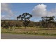 43 Bacchus Marsh – Balliang Road, Bacchus Marsh VIC 3340