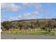 43 Bacchus Marsh – Balliang Road, Bacchus Marsh VIC 3340