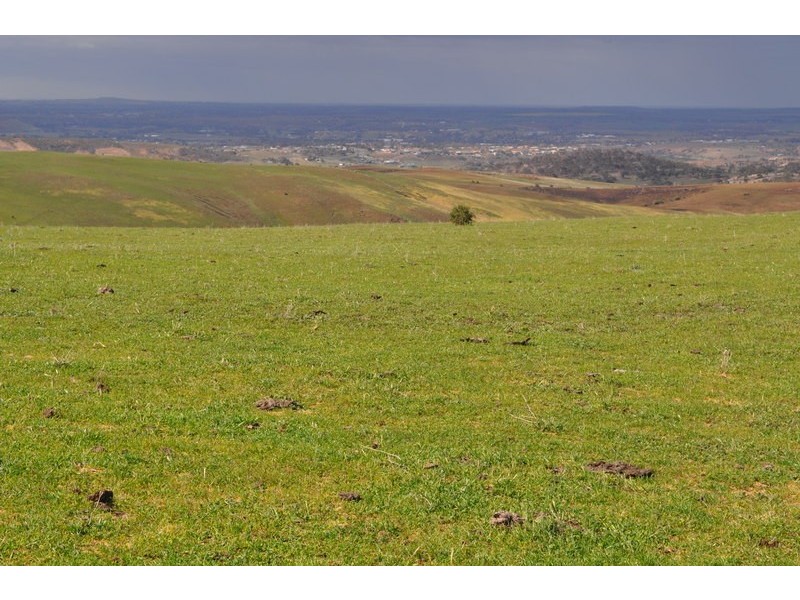 Lot 1 & 2 Long Point Road, Myrniong VIC 3341