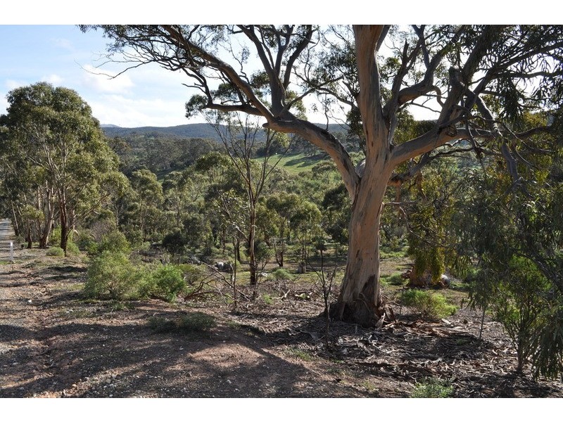Lot 4 Swans Road, Bacchus Marsh VIC 3340