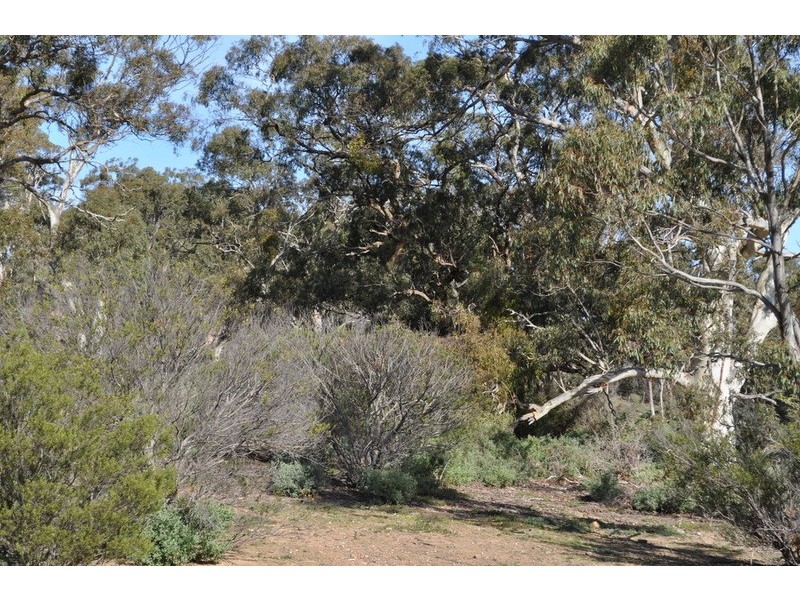 Lot 4 Swans Road, Bacchus Marsh VIC 3340