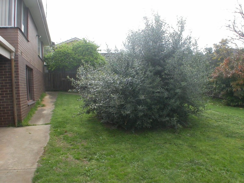 10 Muir Street, Bacchus Marsh VIC 3340