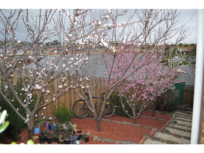 12 McLeod Drive, Bacchus Marsh VIC 3340