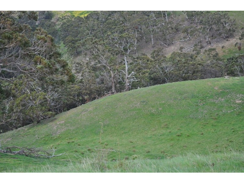 400 Mt Blackwood Road, Myrniong VIC 3341