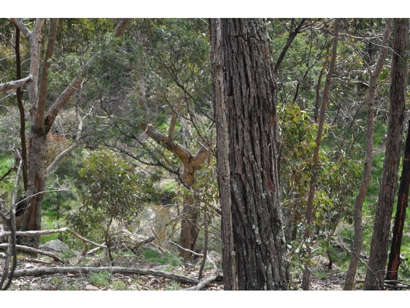 400 Mt Blackwood Road, Myrniong VIC 3341