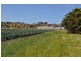 24 Taverner Street, Bacchus Marsh VIC 3340