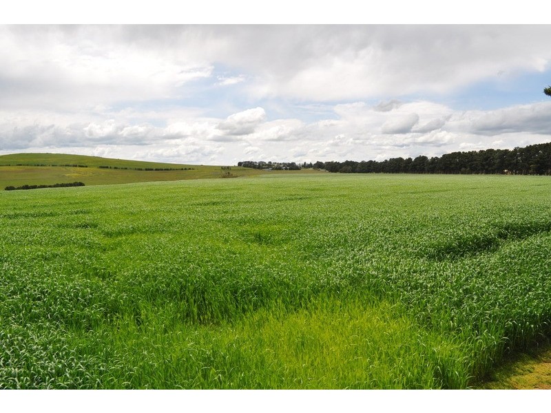 3669 Geelong – Ballan Road, Mount Wallace VIC 3342