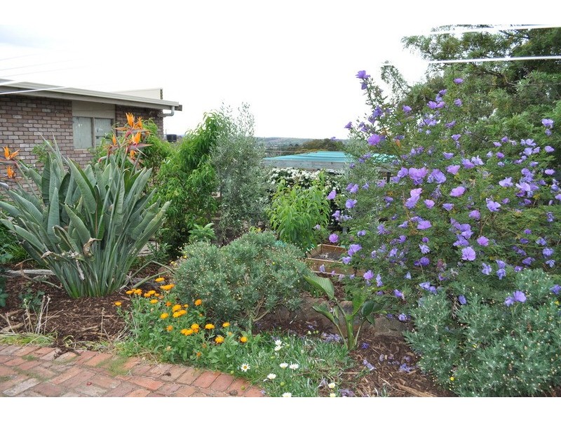 22 Moore Street, Bacchus Marsh VIC 3340