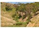 50 Lidgetts Lane, Myrniong VIC 3341