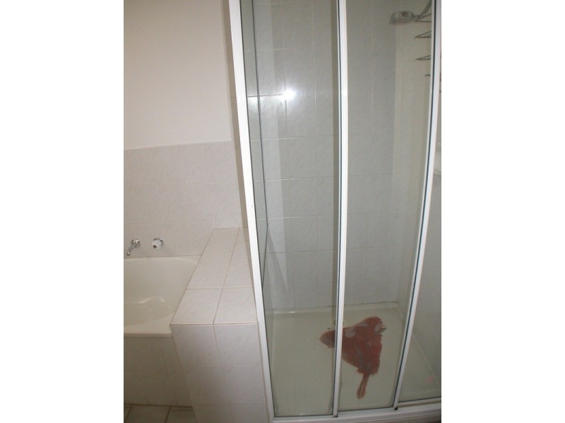 1/276 Main Street, Bacchus Marsh VIC 3340