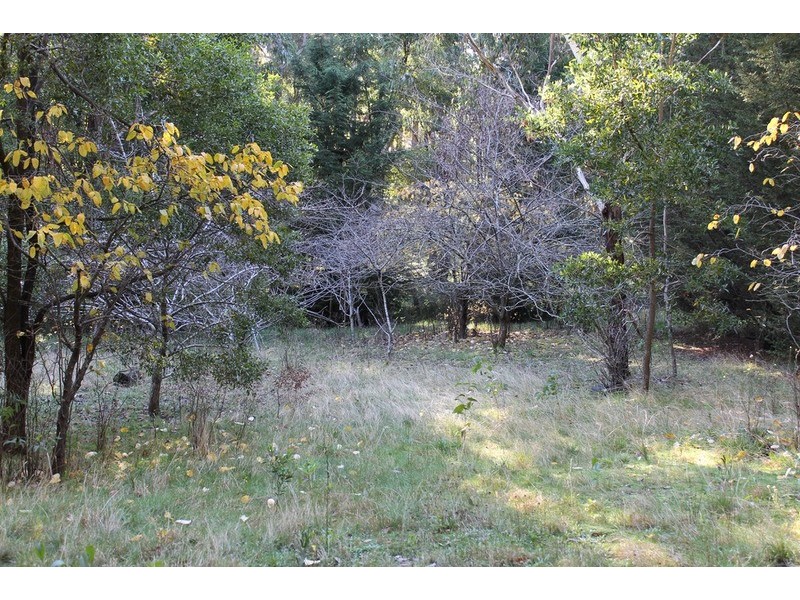 Lot 108 Dales Creek Avenue, Dales Creek VIC 3341
