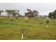 Lot 3 Woolpack Road, Bacchus Marsh VIC 3340