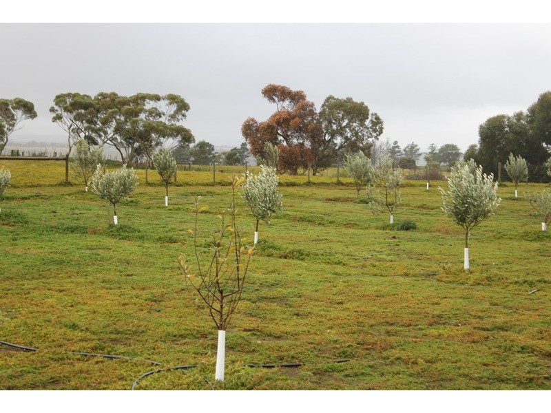 Lot 3 Woolpack Road, Bacchus Marsh VIC 3340