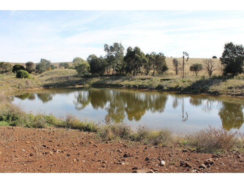 3493 Geelong – Bacchus Marsh Road, Balliang East VIC 3340