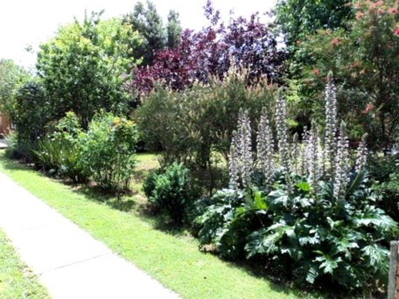 10 Holts Lane, Bacchus Marsh VIC 3340