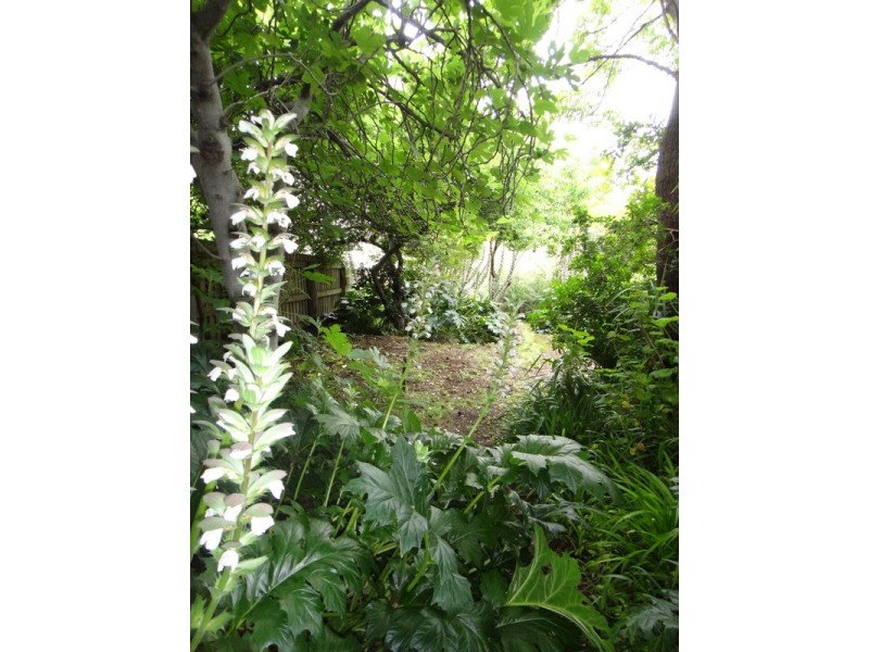 10 Holts Lane, Bacchus Marsh VIC 3340