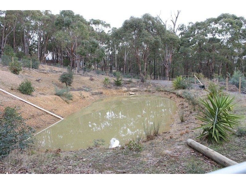 155 Shuter  Avenue, Greendale VIC 3341