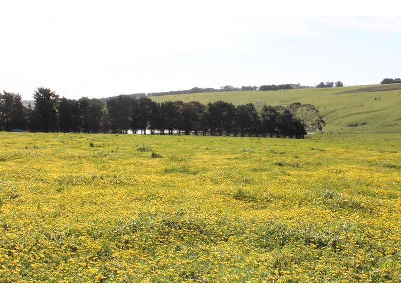 Lot 12 Pykes Creek Road, Myrniong VIC 3341