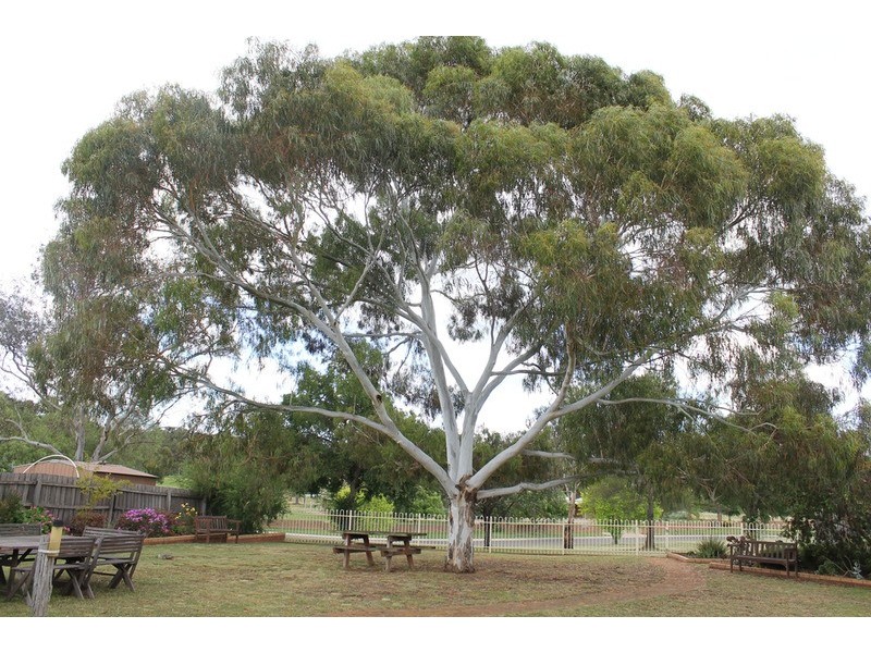 5 Cairns Drive, Bacchus Marsh VIC 3340