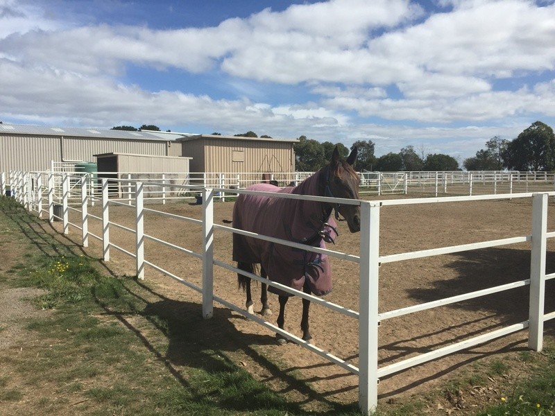 69 Hopetoun Road, Mitchell Park VIC 3355