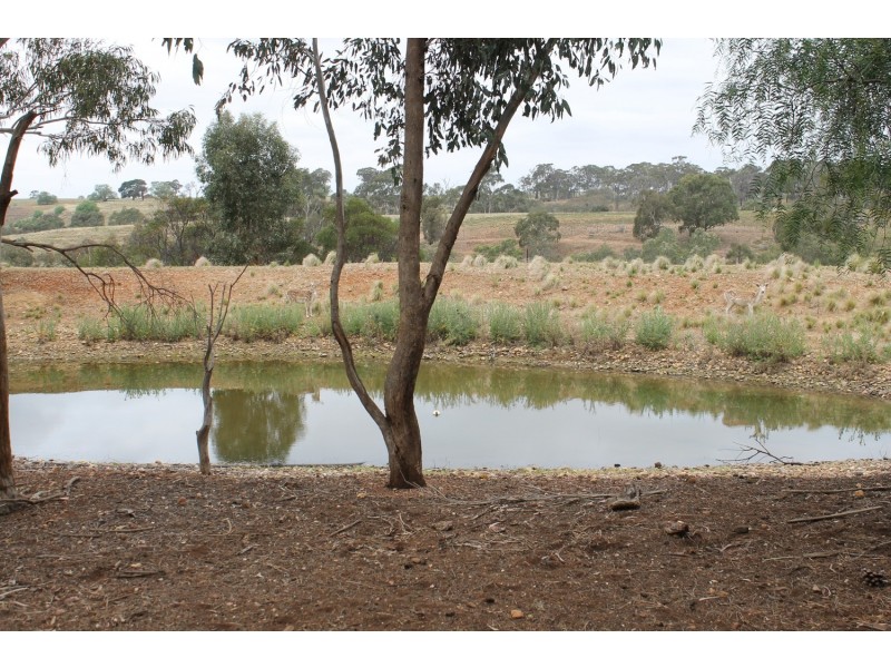 55 Weir Road, Exford VIC 3338