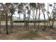 106 Canopus Circuit, Long Forest VIC 3340