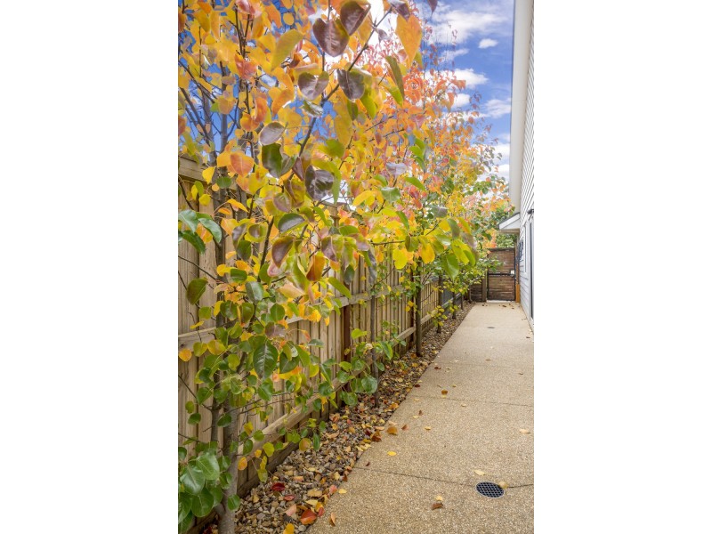 9 Toorongo Road, Eynesbury VIC 3338