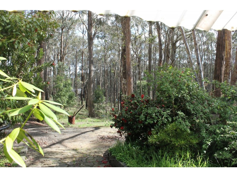 17 Pine Court, Dales Creek VIC 3341