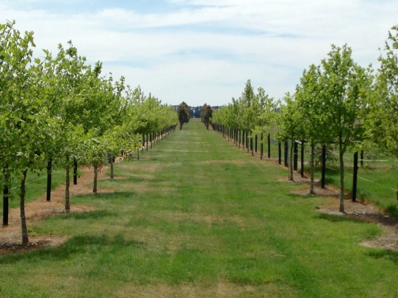 149 Gearys Lane, Ballan VIC 3342