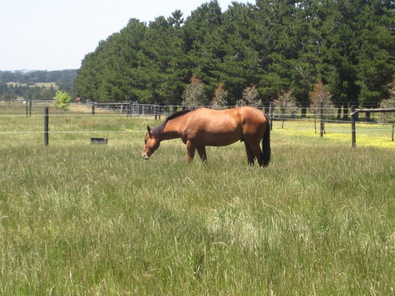 149 Gearys Lane, Ballan VIC 3342