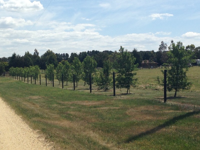 149 Gearys Lane, Ballan VIC 3342